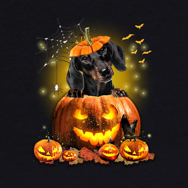 Black Dachshund Spooky Halloween Pumpkin Dog Head by Centorinoruben.Butterfly